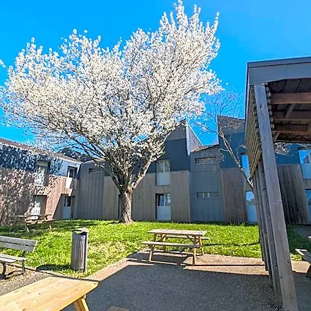 Centre International De Sejour אכסניה